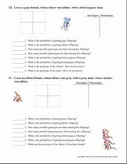 Monohybrid Cross Practice Problems Worksheet Best Of Amy Brown Science Free Monohybrid Genetics Practice