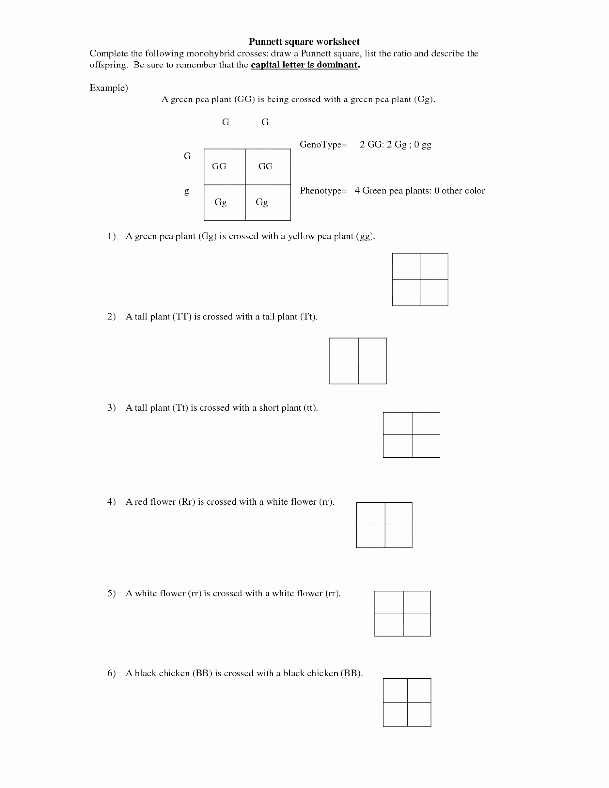 Monohybrid Cross Practice Problems Worksheet Best Of Monohybrid Cross Worksheet