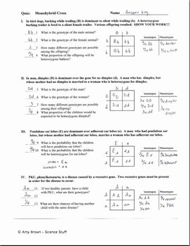 Monohybrid Cross Practice Problems Worksheet Best Of Monohybrid Quiz or Homework E Factor Genetics Problems