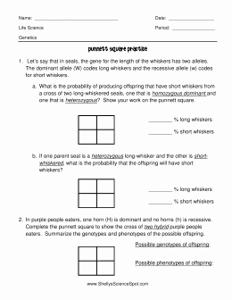 Monohybrid Cross Practice Problems Worksheet Best Of Punnett Square Practice Problems