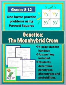 Monohybrid Cross Worksheet Answers Elegant Monohybrid Cross Punnett Square Worksheet