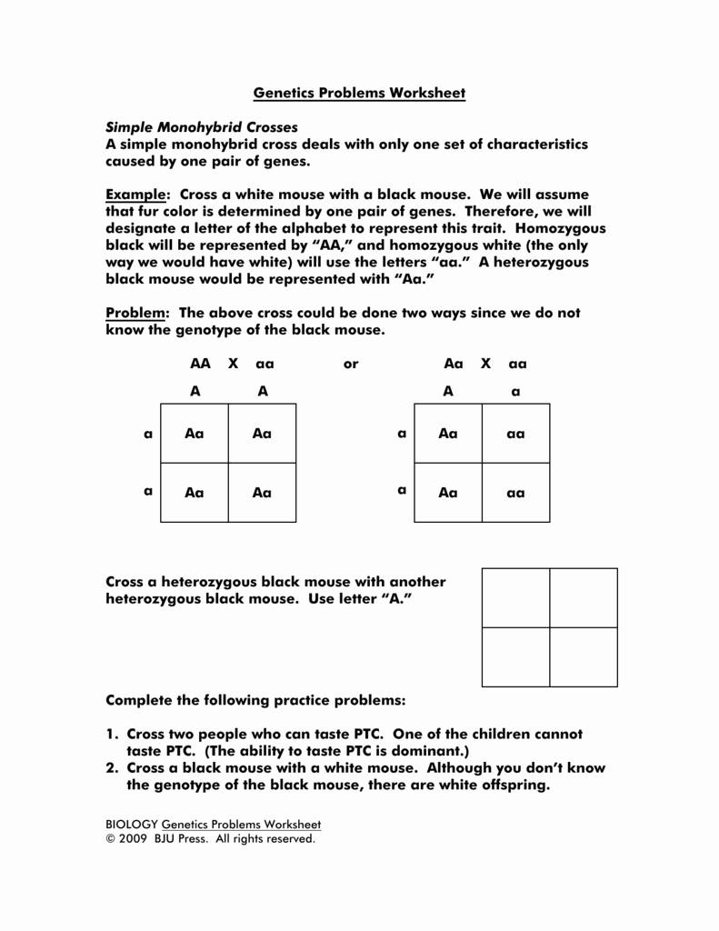 Monohybrid Crosses Worksheet Answers Beautiful Genetics Problems Worksheet Simple Monohybrid Crosses A Simple