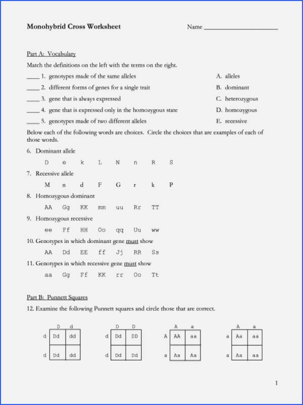 Monohybrid Crosses Worksheet Answers Elegant Chapter 10 Dihybrid Cross Worksheet Answer Key