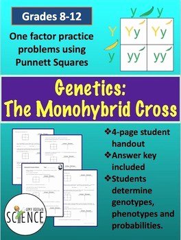 Monohybrid Crosses Worksheet Answers Inspirational Monohybrid Cross Worksheet Answers Pdf