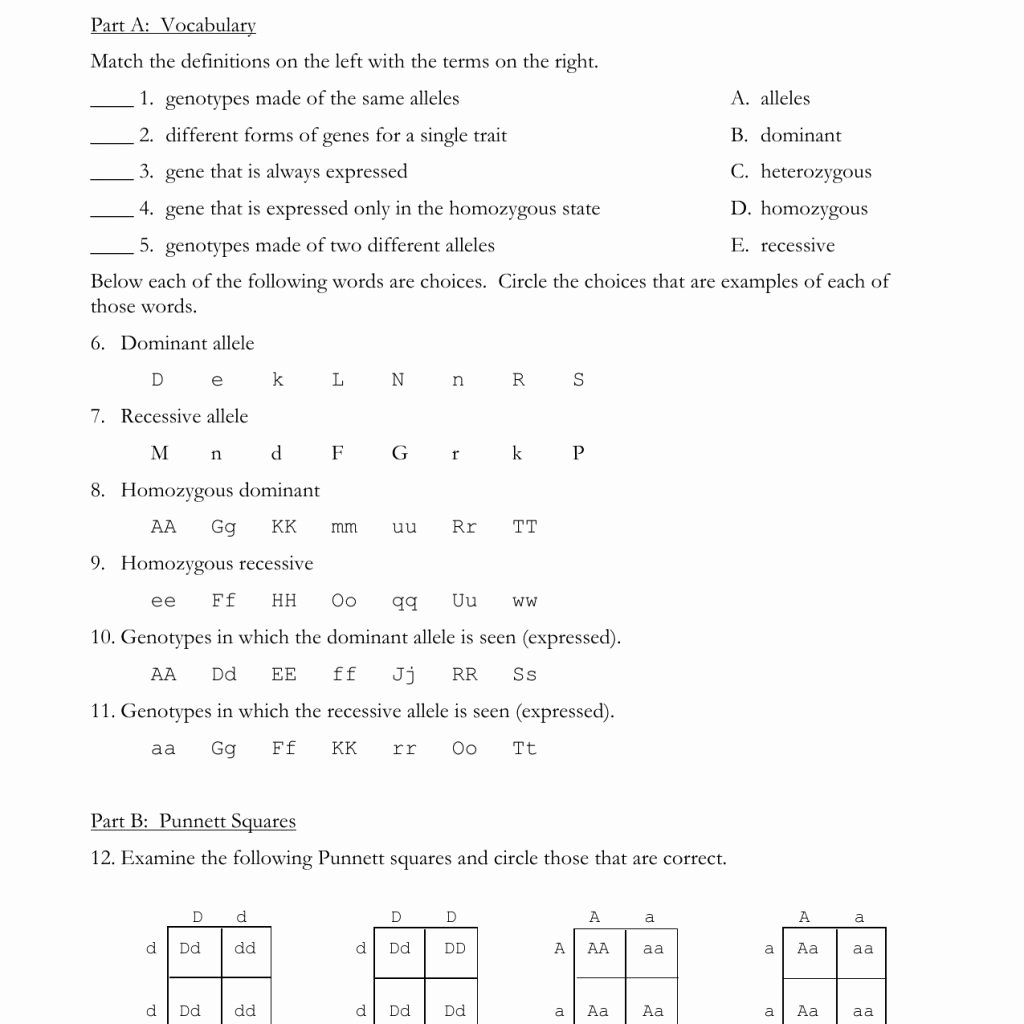 Monohybrid Crosses Worksheet Answers Inspirational Monohybrid Cross Worksheets
