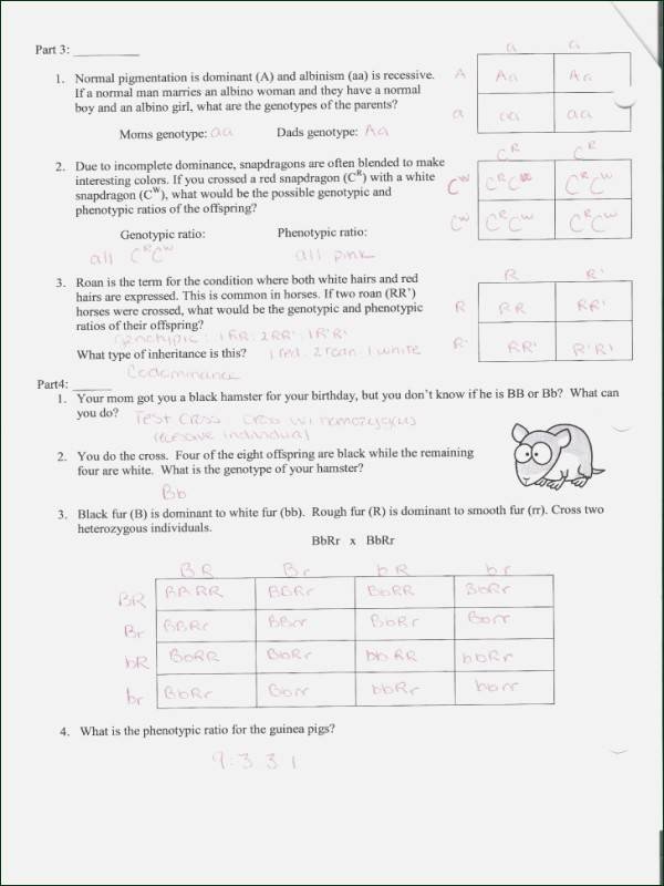 Cross Disciplinary Worksheet Answers