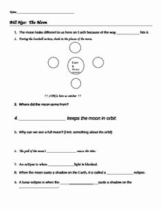 Moon Phases Worksheet Answers Best Of Bill Nye Life Cycles Video Guide Sheet