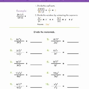 Multiplying Monomials Worksheet Answers Beautiful Dividing Monomials Algebra Worksheets
