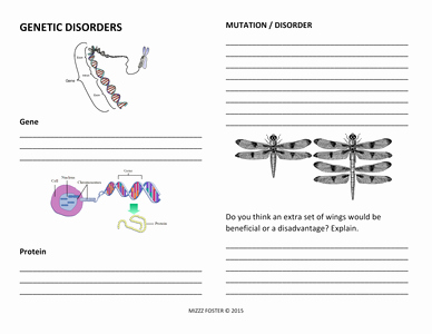 Mutations Worksheet Answer Key Awesome Genetic Disorders Mistakes In the Dna Code Dna Mutations