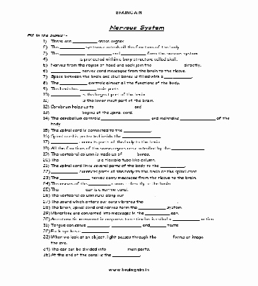 Nervous System Worksheet High School Awesome Ladders2learn Free Worksheets