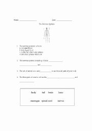 Nervous System Worksheet High School Best Of English Teaching Worksheets Nervous System