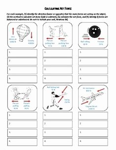 Net force Worksheet Answers Fresh force and Motion the Room and 21 Questions On Pinterest