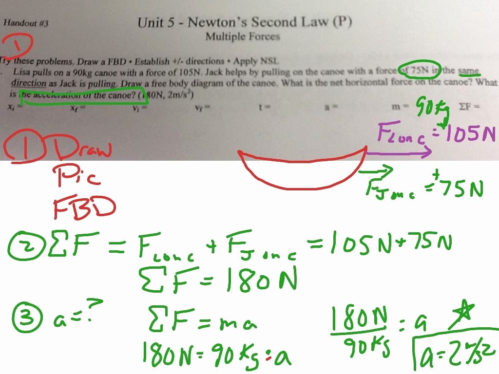 Newton's Second Law Worksheet Answers