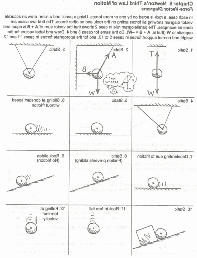 modification template of chapter newton s third law motion force vector diagrams case rock from 7 awesome newton039s third law worksheet that can impress your superior
