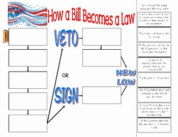 Newton&amp;#039;s Third Law Worksheet Answers Fresh How A Bill Be Es A Law Graphic organizer by Clowning