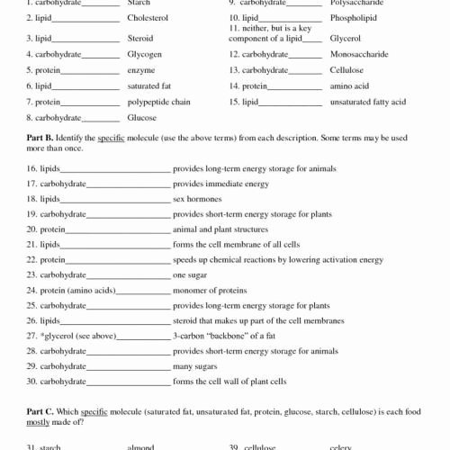 Newton&amp;#039;s Third Law Worksheet Answers Luxury 71 Newton S Laws Worksheet Answers