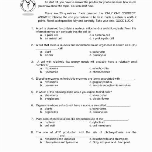 50 Newton's Third Law Worksheet Answers