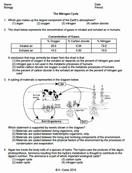 Nitrogen Cycle Worksheet Answer Key Beautiful Worksheet Nitrogen Cycle Editable