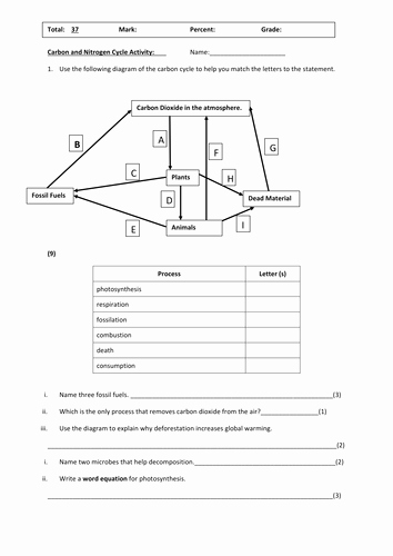 Nitrogen Cycle Worksheet Answers Beautiful Carbon and Nitrogen Cycle by Richkirk68 Teaching