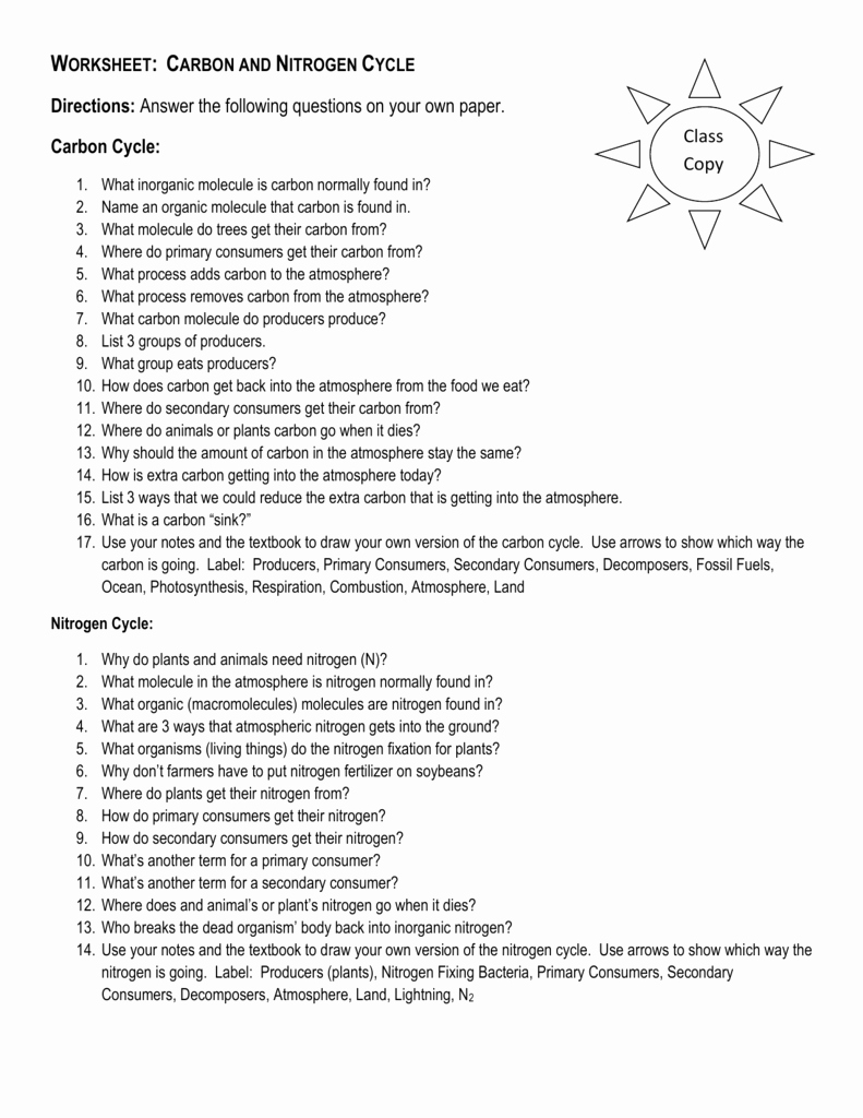 Nitrogen Cycle Worksheet Answers Lovely Worksheet Carbon and Nitrogen Cycle