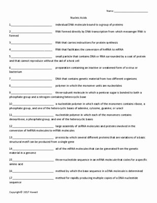 Nucleic Acid Worksheet Answers Best Of Best 25 Nucleic Acid Ideas On Pinterest