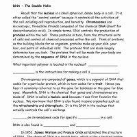 Nucleic Acid Worksheet Answers Best Of Middle School Chemistry Worksheets