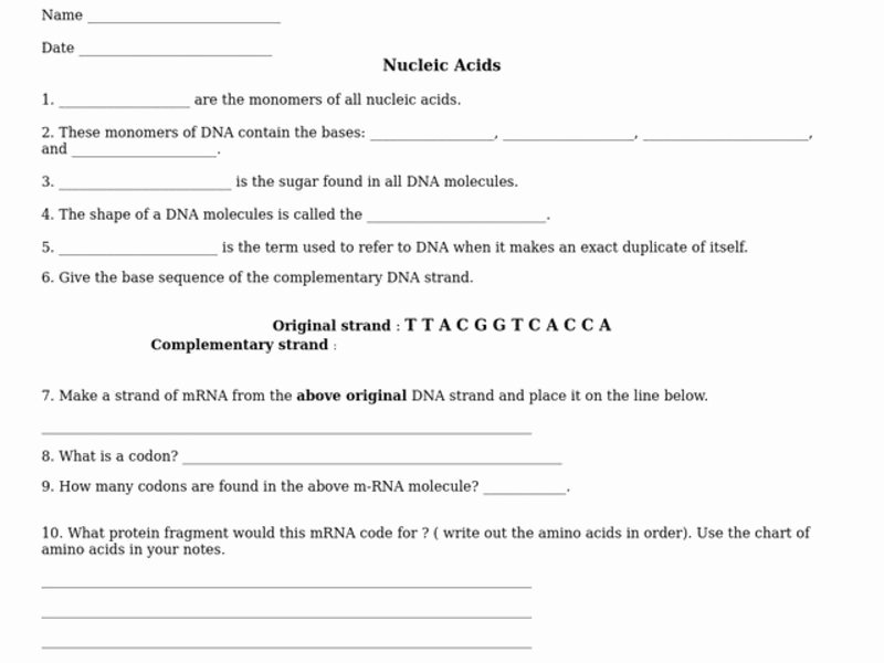 Nucleic Acid Worksheet Answers Fresh Messenger Rna Lesson Plans &amp; Worksheets