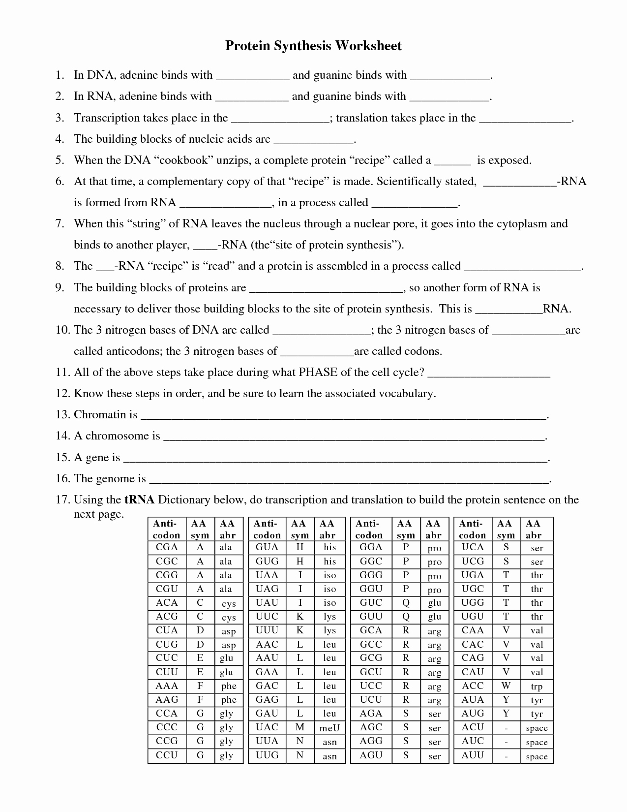 Nucleic Acids Worksheet Answers Awesome 15 Best Of Nucleic Acids Worksheet Nucleic Acids