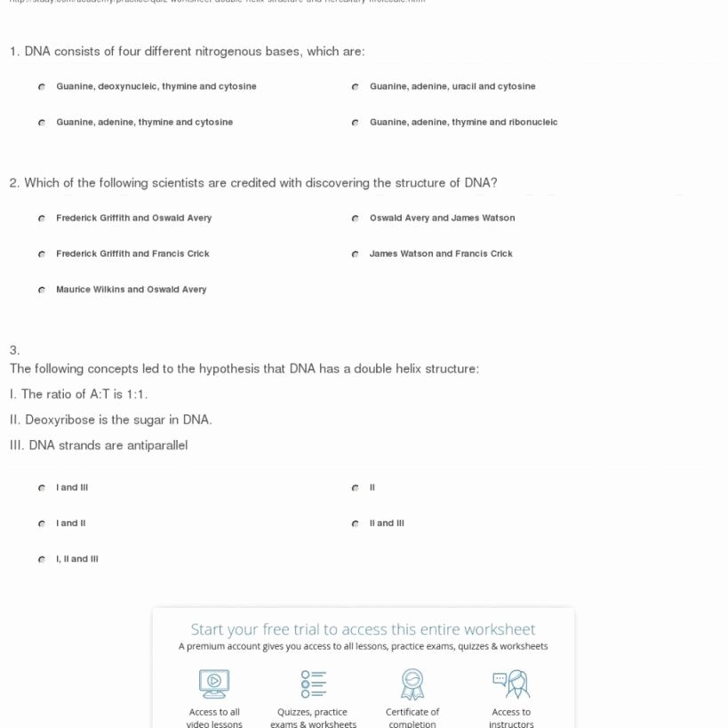 Nucleic Acids Worksheet Answers Beautiful Dna the Double Helix Worksheet