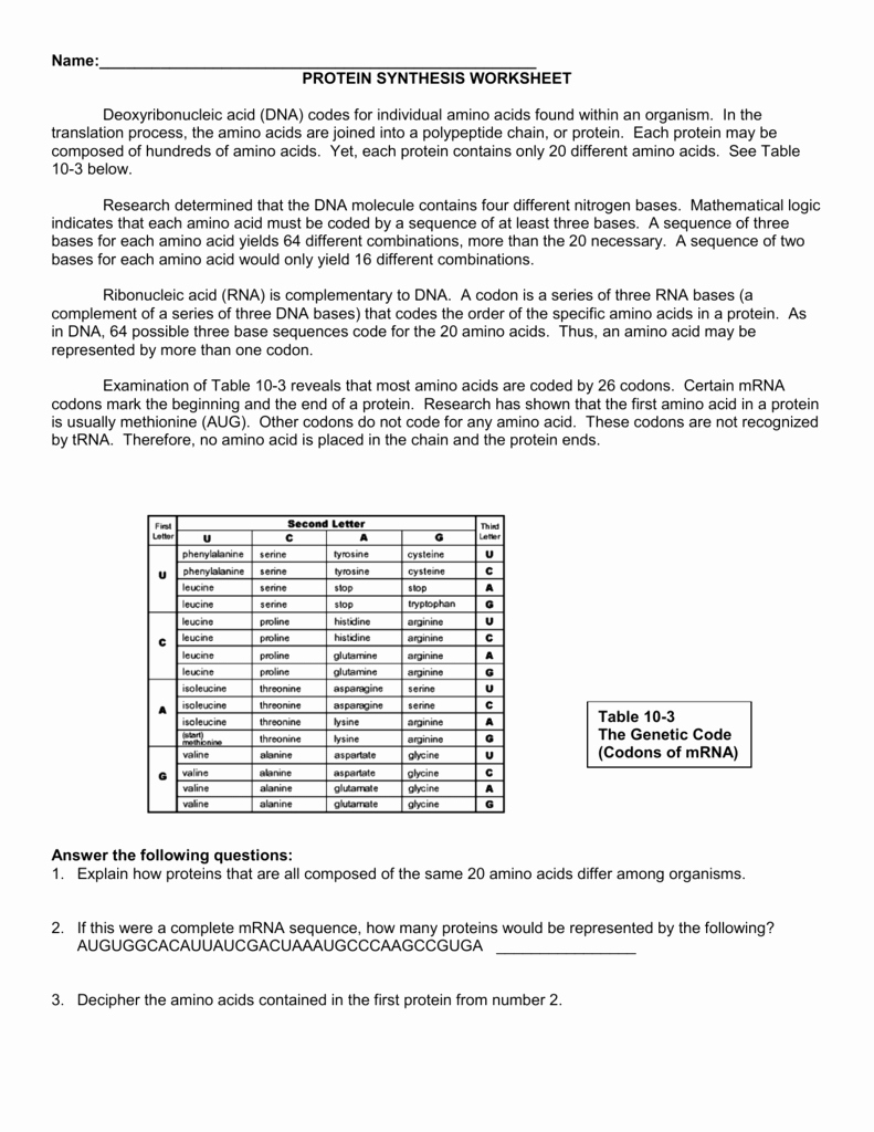 Nucleic Acids Worksheet Answers Beautiful Nucleic Acids and Protein Synthesis Worksheet Answer Key