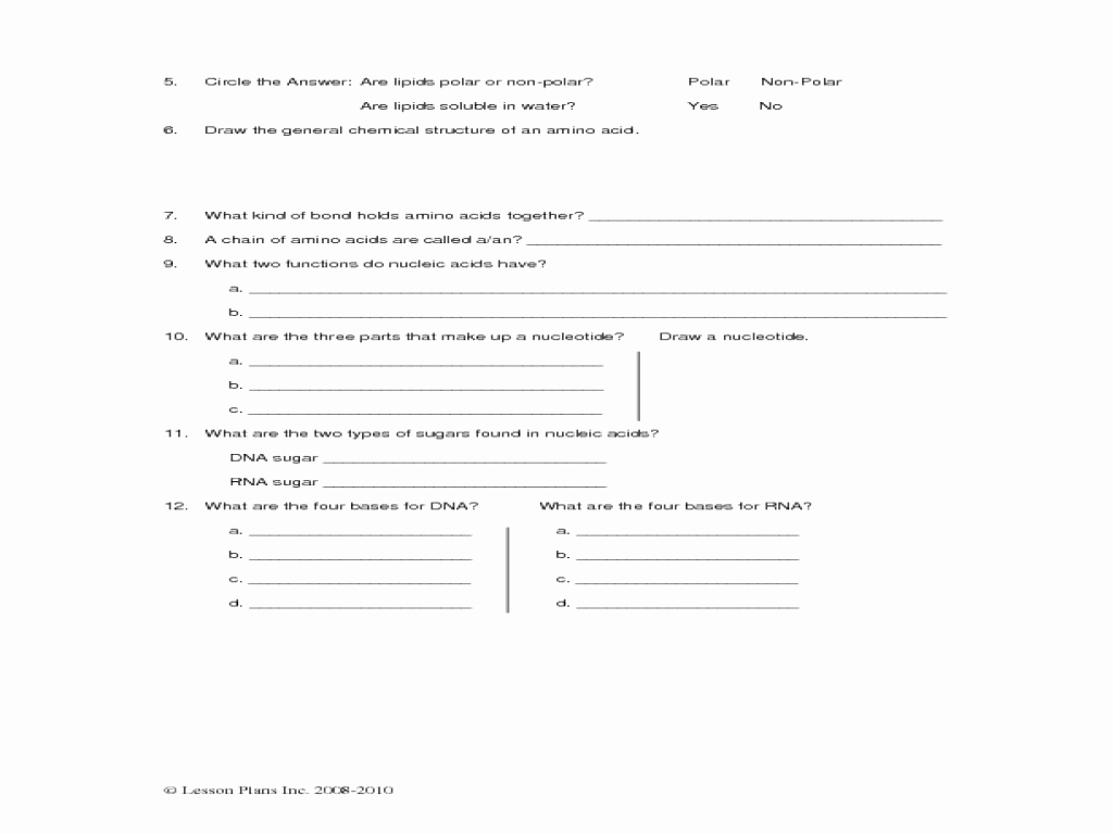Nucleic Acids Worksheet Answers Inspirational Nucleic Acids Lesson Plans &amp; Worksheets