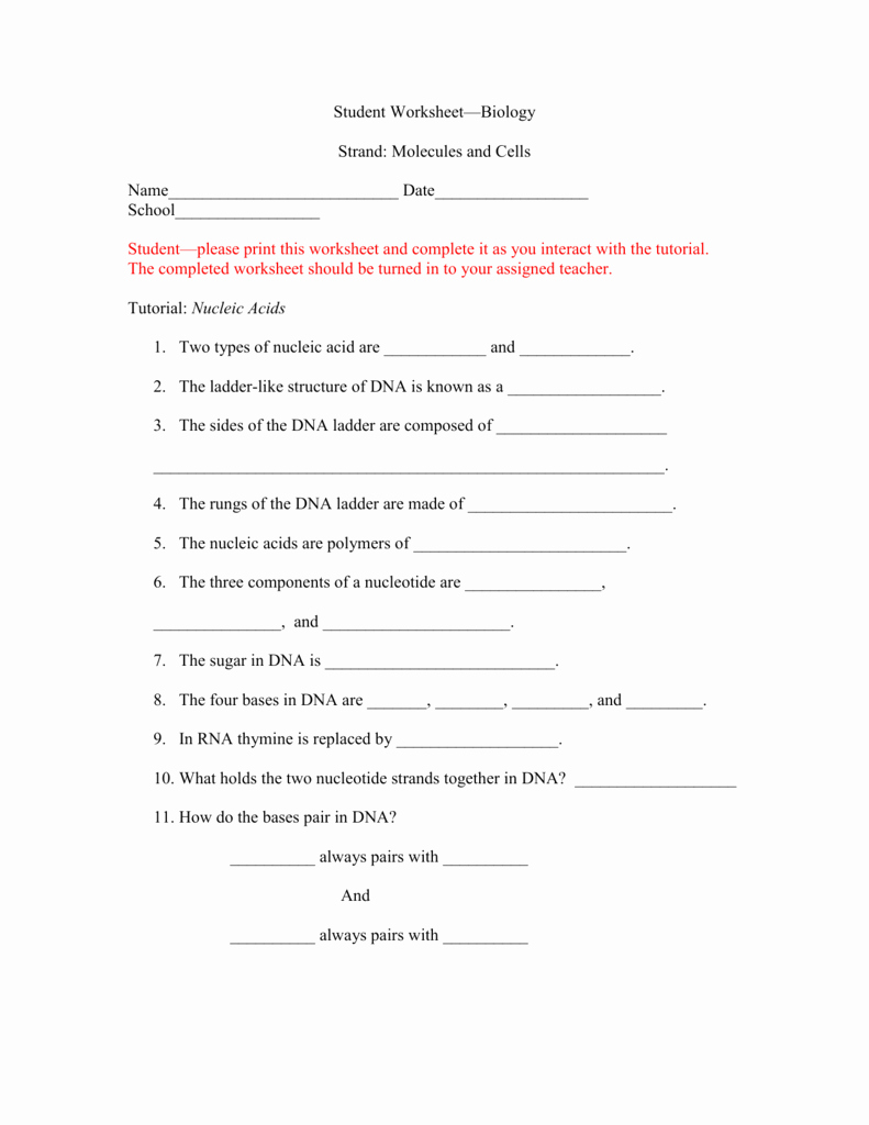 Nucleic Acids Worksheet Answers Lovely Student Worksheet for Nucleic Acids