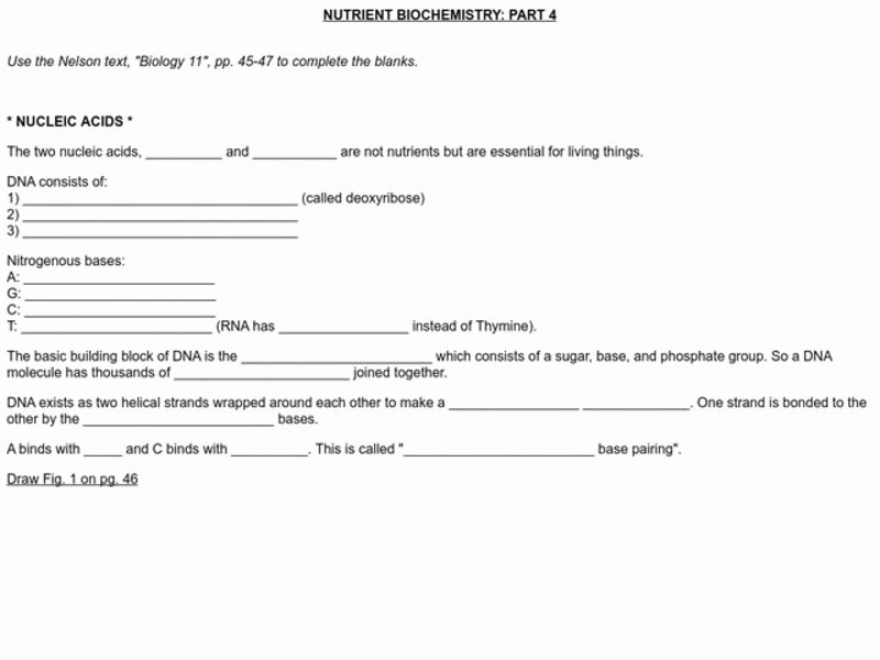 Nucleic Acids Worksheet Answers New Nucleic Acids Lesson Plans &amp; Worksheets