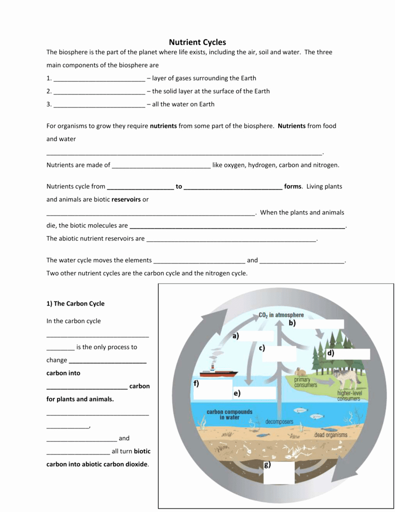 Nutrient Cycles Worksheet Answers Fresh Nutrient Cycles Worksheets