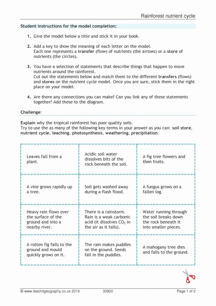 Nutrient Cycles Worksheet Answers Lovely Modification Template Of Rainforest Nutrient Cycle From