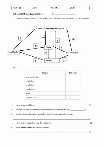 Nutrient Cycles Worksheet Answers Lovely Water Carbon and Nitrogen Cycle Worksheet Answers