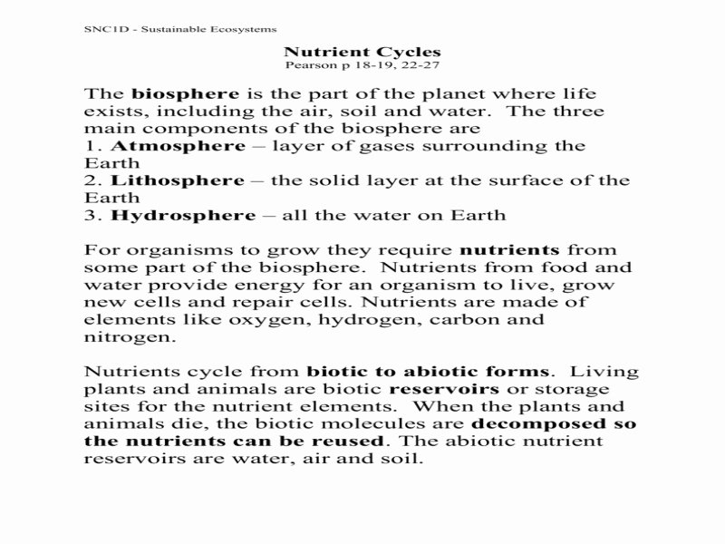 Nutrient Cycles Worksheet Answers New Nutrient Cycles Worksheet Answers Free Printable Worksheets