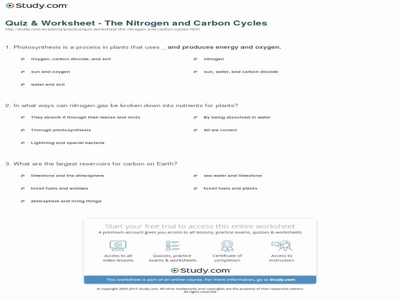 Nutrient Cycles Worksheet Answers Unique Nutrient Cycles Worksheet Answers Free Printable Worksheets