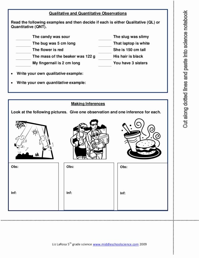 Observation and Inference Worksheet Best Of Printables Observations and Inferences Worksheet