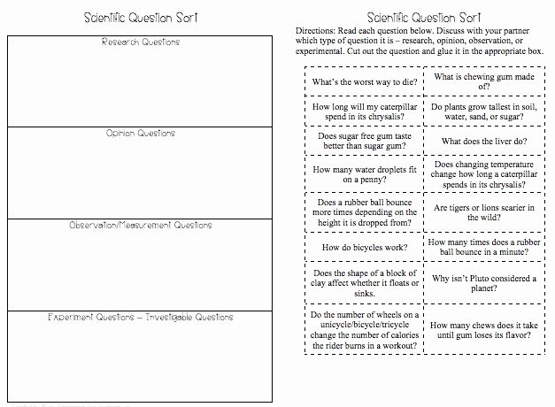 Observation and Inference Worksheet New Mystery Bags to Develop Observation and Inference Skills