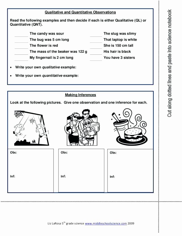 Observation Vs Inference Worksheet Doc