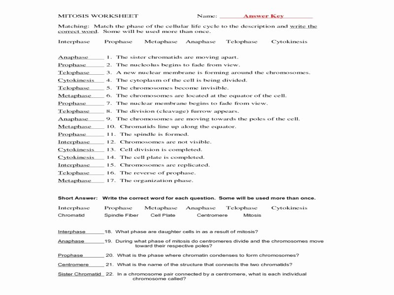 Onion Cell Mitosis Worksheet Answers Fresh 5 Oa 2 Worksheets Free Printable Worksheets