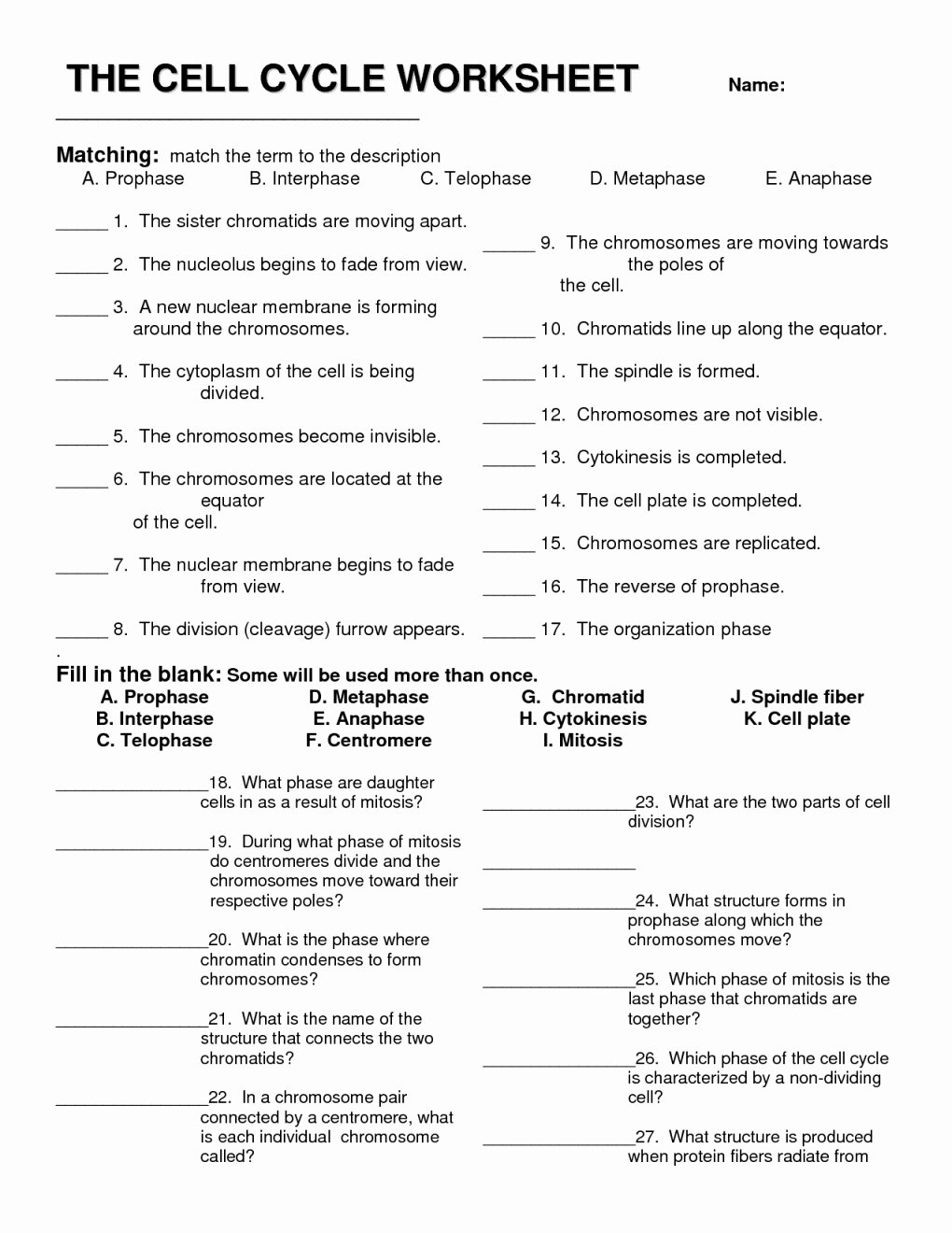 Onion Cell Mitosis Worksheet Answers New Ion Cell Mitosis Worksheet Answers