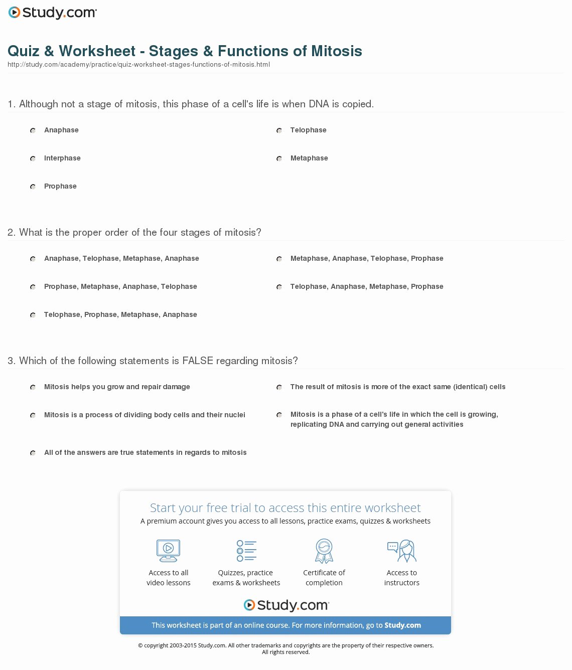 Onion Cell Mitosis Worksheet Answers New Quiz &amp; Worksheet Stages &amp; Functions Of Mitosis