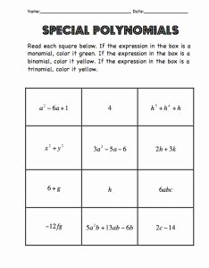 Operations with Polynomials Worksheet Inspirational Introduction to Polynomials &amp; Preparing for School
