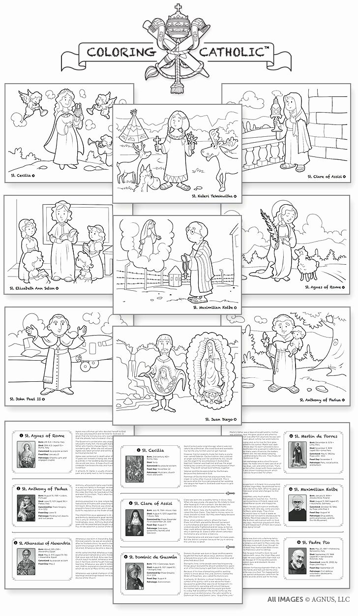 Order Of the Mass Worksheet Lovely Catholic Mass Parts In order Worksheet Sketch Coloring Page