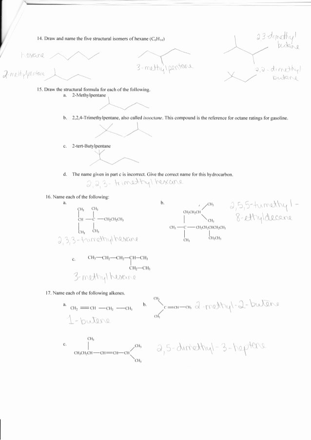 Organic Chemistry Worksheet with Answers Awesome Plete organic Chemistry Worksheet Answers