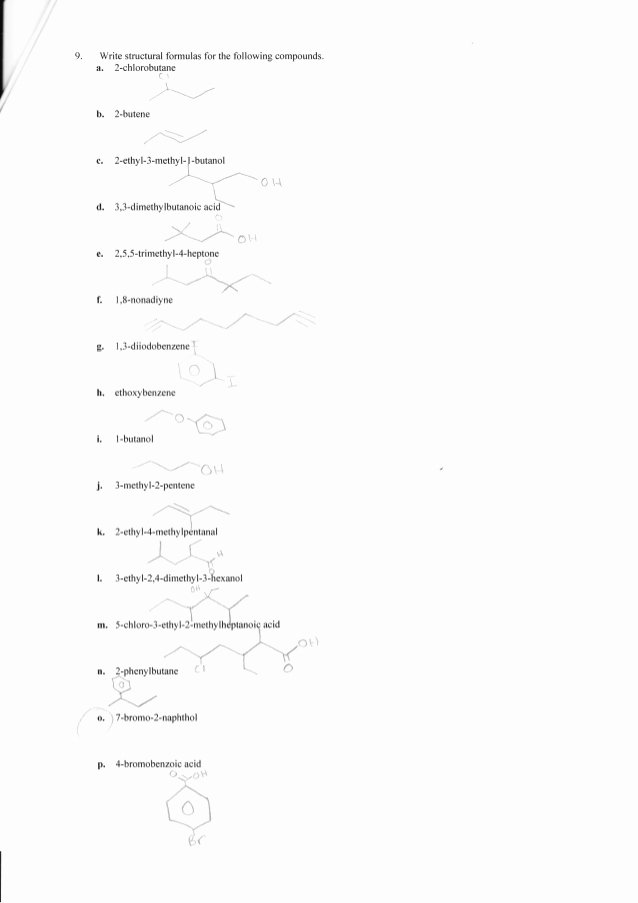 Organic Chemistry Worksheet with Answers Beautiful Plete organic Chemistry Worksheet Answers