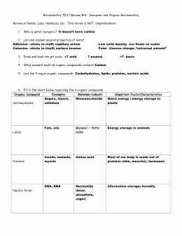 Organic Compounds Worksheet Answers Awesome organic Pounds Student Worksheet Answer Key Example