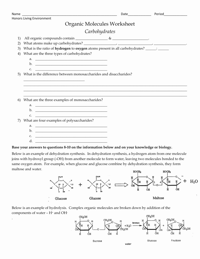 Organic Compounds Worksheet Answers Luxury Worksheet Carbohydrates Manhasset Public Schools